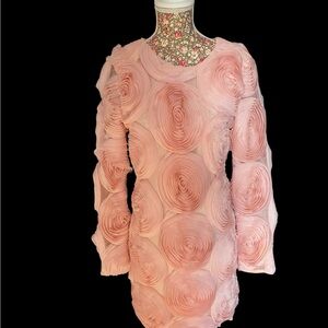 Asilio Pink Rosette Long Sleeve Dress